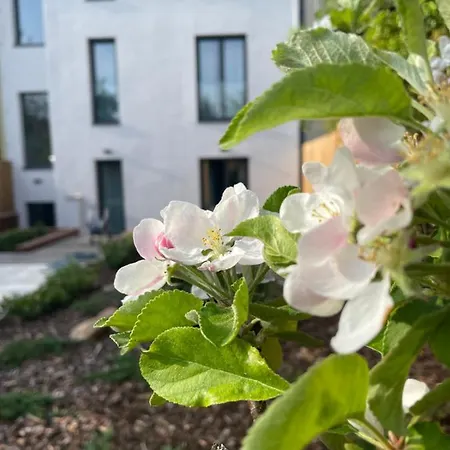 Executive Taborska Apartament