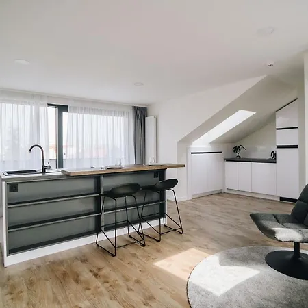 Executive Taborska アパート Mladá Boleslav