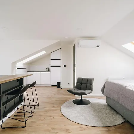 Executive Taborska Apartament Mladá Boleslav