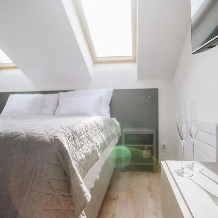 Executive Taborska Apartament Mladá Boleslav